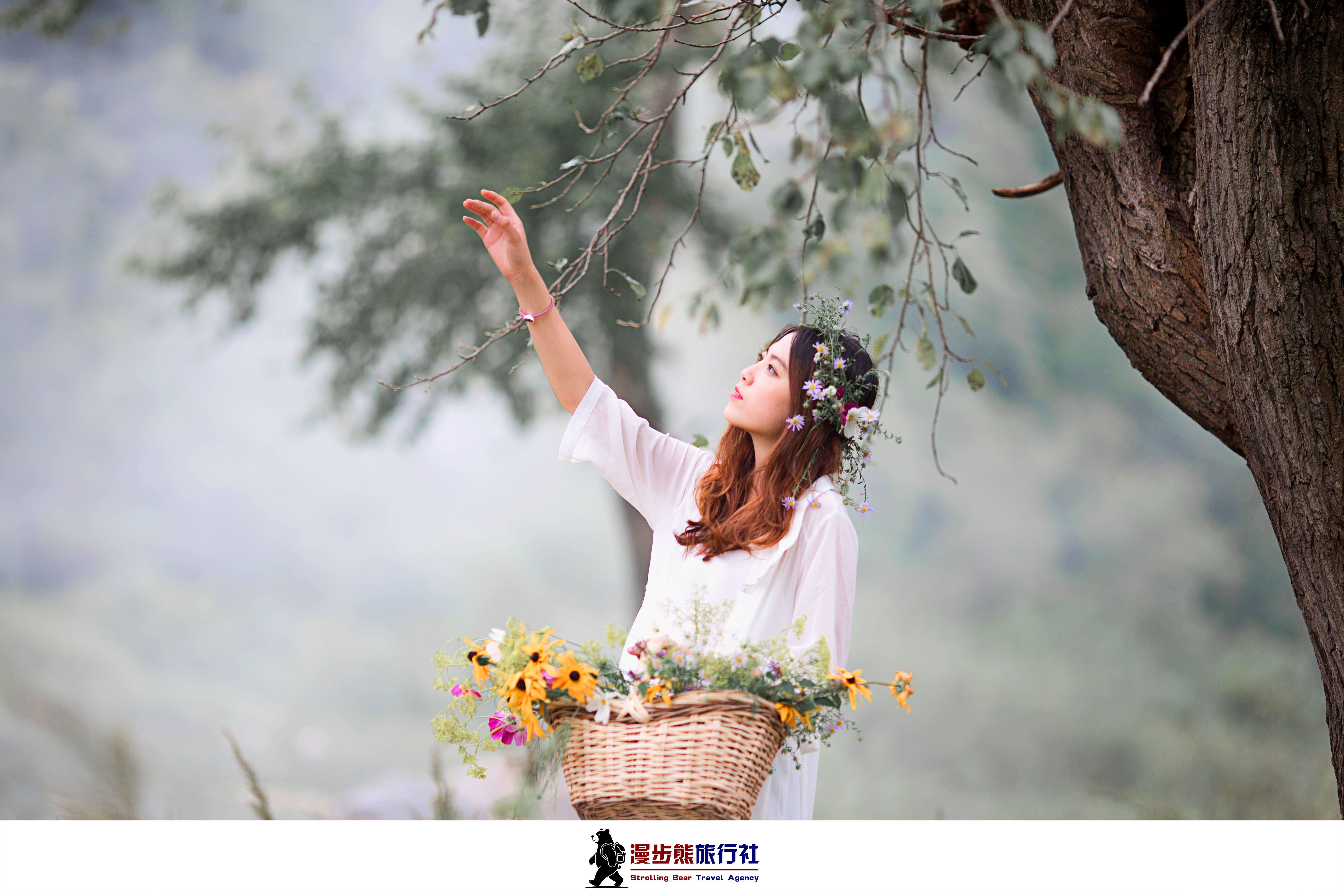 山河万里旅行:国内这